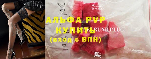 прущие грибы Каменск-Шахтинский