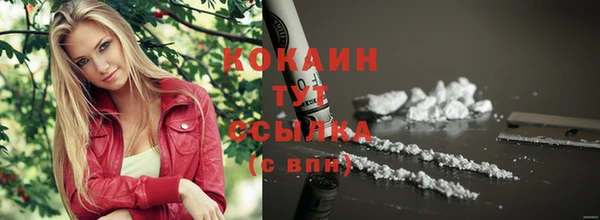 прущие грибы Каменск-Шахтинский