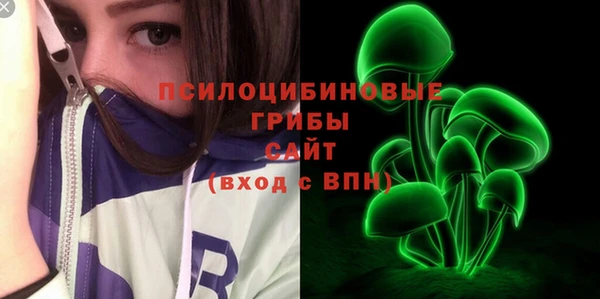 прущие грибы Каменск-Шахтинский