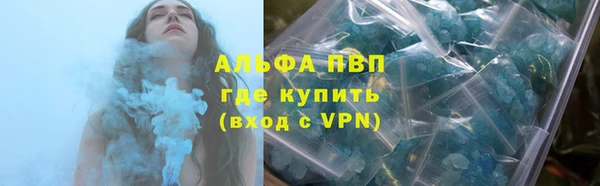 прущие грибы Каменск-Шахтинский