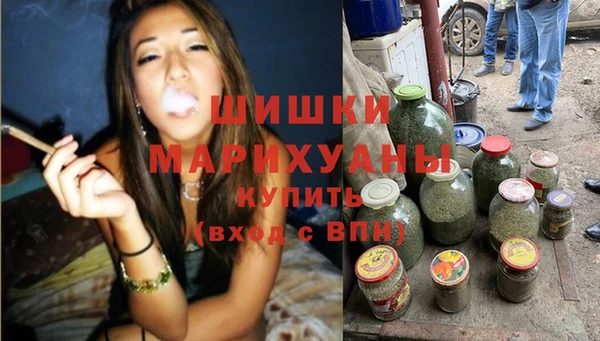 spice Каменка