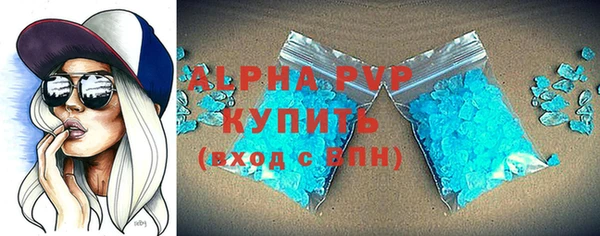 прущие грибы Каменск-Шахтинский