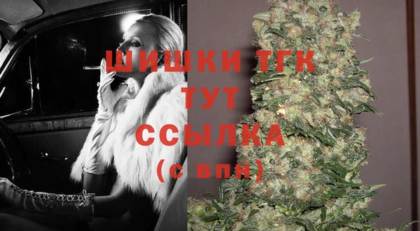 spice Каменка