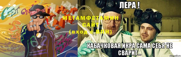 прущие грибы Каменск-Шахтинский