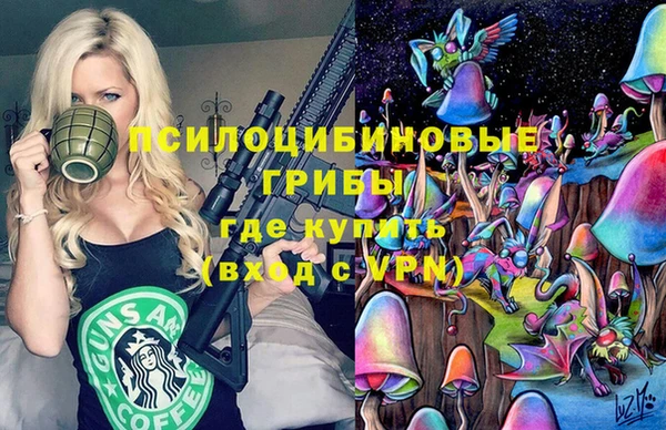 прущие грибы Каменск-Шахтинский