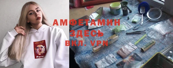 прущие грибы Каменск-Шахтинский