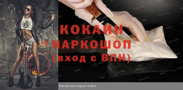 прущие грибы Каменск-Шахтинский