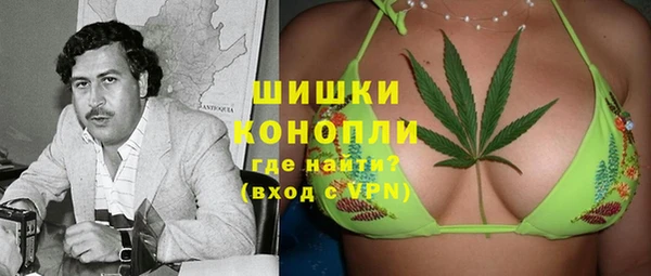 spice Каменка