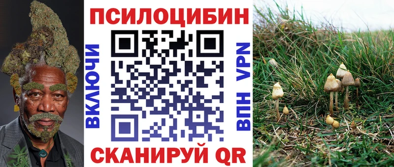 Купить закладки  Куртамыш  Псилоцибиновые грибы Psilocybine cubensis 